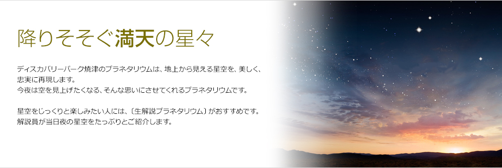 降り注ぐ満天の星々