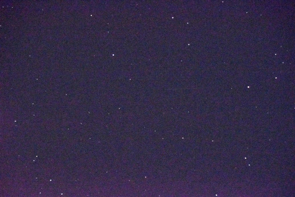 DSC_0047